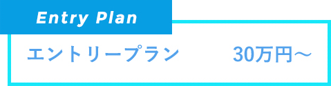 エントリープラン　30万円～