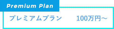 プレミアムプラン　100万円～