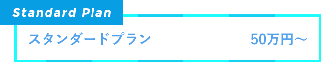 スタンダードプラン　50万円～