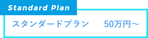 スタンダードプラン　50万円～